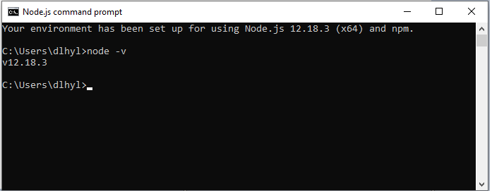 Using node -v or node --version
